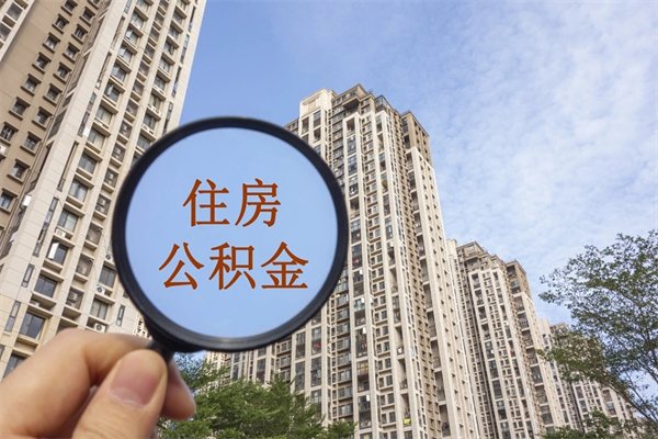 聊城深圳公积金（深圳公积金首页）